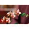LEGO Botanical Mini Orchid (10343) - фото 101620