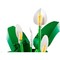 LEGO Botanical Peace Lily (11504) - фото 101624