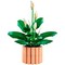 LEGO Botanical Peace Lily (11504) - фото 101626