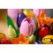 LEGO Botanical Tulip Bouquet (11501) - фото 101642