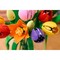 LEGO Botanical Tulip Bouquet (11501) - фото 101643