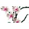 LEGO Icons Orchid (10311) - фото 101826