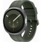 Samsung Galaxy Watch9 LTE 44mm Silver - фото 103265