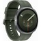 Samsung Galaxy Watch9 LTE 44mm Silver - фото 103277