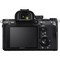 Sony Alpha A7 III Body Black - фото 104157