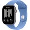 Apple Watch Series 12 46mm GPS Space Gray Aluminum Case with Wildflower Blue Sport Band SM/ML - фото 105275