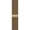 Apple Watch Series 12 46mm GPS + Cellular Radiant Gold Titanium Case with Natural Milanese Loop - фото 105299