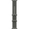 Apple Watch Ultra 4 49mm GPS + Cellular Natural Titanium Case with Translucent Natural Ocean Band - фото 105368