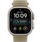 Apple Watch Ultra 4 49mm GPS + Cellular Natural Titanium Case with Translucent Kelp Ocean Band - фото 105370