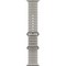 Apple Watch Ultra 4 49mm GPS + Cellular Natural Titanium Case with Translucent Gray Ocean Band - фото 105374