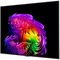 LG OLED55G6RLA.ARU (2026) 55" - фото 108441