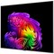 LG OLED65G6RLA.ARU (2026) 65" - фото 108488