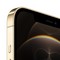 Apple iPhone 12 Pro Max 128GB Gold (золотой) MGD93RU - фото 36121
