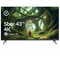 SBER SDX-43U5500DBA 43" - фото 108599
