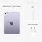 Apple iPad mini (2021) 256Gb Wi-Fi + Cellular Purple - фото 44332