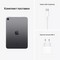 Apple iPad mini (2021) 64Gb Wi-Fi Space Gray - фото 44261