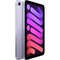 Apple iPad mini (2021) 64Gb Wi-Fi Purple - фото 44270