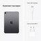 Apple iPad mini (2021) 256Gb Wi-Fi + Cellular Space Gray - фото 44435