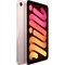 Apple iPad mini (2021) 256Gb Wi-Fi Pink RU - фото 44457