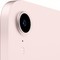 Apple iPad mini (2021) 256Gb Wi-Fi Pink RU - фото 44458