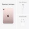 Apple iPad mini (2021) 256Gb Wi-Fi Pink - фото 44428