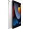 Apple iPad (2021) 256Gb Wi-Fi + Cellular Silver - фото 44515