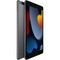 Apple iPad (2021) 64Gb Wi-Fi + Cellular Space Gray RU - фото 44550
