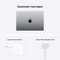 Apple MacBook Pro 14 Late 2021 M1 Pro, 16Gb, 1Tb SSD Space Gray (серый космос) MKGQ3RU - фото 45216