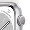 Apple Watch Series 8 GPS 45mm Silver Aluminium/White (серебристый/белый) MP6N3 - фото 48830