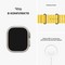 Apple Watch Ultra GPS + Cellular, 49mm One Size Titanium Case with Yellow Ocean Band (желтый) - фото 48968