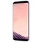 Samsung Galaxy S8 Plus (SM-G955FD) 64GB Orchid Gray - фото 10153