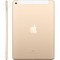Apple iPad (2018) 32Gb Wi-Fi + Cellular Gold - фото 10476