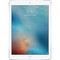 Apple iPad Pro 9.7 256Gb Wi-Fi Silver РСТ - фото 6512