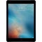 Apple iPad Pro 9.7 256Gb Wi-Fi Space Gray - фото 6524