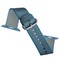 Ремешок COTECi W11 NYLON BAND (WH5213-BL-38) для Apple Watch 40мм/ 38мм Sky Blue - Небесно-голубой - фото 51896