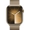 Apple Watch Series 9 GPS + Cellular 45mm Gold Stainless Steel Milanese Loop (золото) - фото 57312