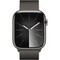 Apple Watch Series 9 GPS + Cellular 45mm Graphite Stainless Steel Milanese Loop (графит) - фото 57318