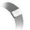 Ремешок из нержавеющей стали COTECi W6 MAGNET Band (WH5203-TS) для Apple Watch 44мм/ 42мм Серебристый - фото 16780