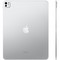 Apple iPad Pro (M4, 2024) 13" Wi-Fi + Cellular 2Tb Silver - фото 59725