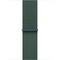 Apple Watch SE 2024 GPS 40mm Starlight Aluminium Lake Green Sport Loop - фото 64038