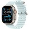 Apple Watch Ultra 2 (2024) GPS + Cellular 49mm Natural Ocean Band Ice Blue - фото 63526