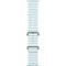 Apple Watch Ultra 2 (2024) GPS + Cellular 49mm Natural Ocean Band Ice Blue - фото 63528