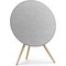 Bang & Olufsen Beosound A9 5th Generation Natural Aluminium - фото 72683