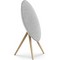 Bang & Olufsen Beosound A9 5th Generation Natural Aluminium - фото 72694