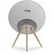 Bang & Olufsen Beosound A9 5th Generation Natural Aluminium - фото 72697