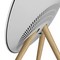 Bang & Olufsen Beosound A9 5th Generation Natural Aluminium - фото 72698