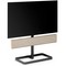 Bang & Olufsen Beosound Stage Gold Tone - фото 72713