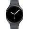 Samsung Galaxy Watch8 40mm Graphite - фото 78771