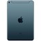 Apple iPad mini (2019) 64Gb Wi-Fi + Cellular Space Gray - фото 19255