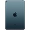 Apple iPad mini (2019) 256Gb Wi-Fi Space Gray RU - фото 19270